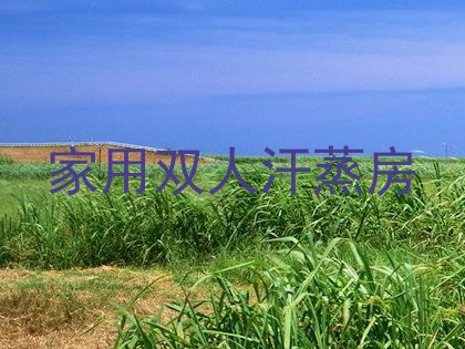家用双人汗蒸房