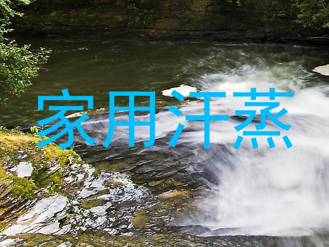 家用汗蒸