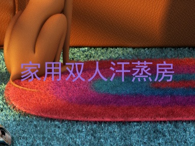 家用双人汗蒸房