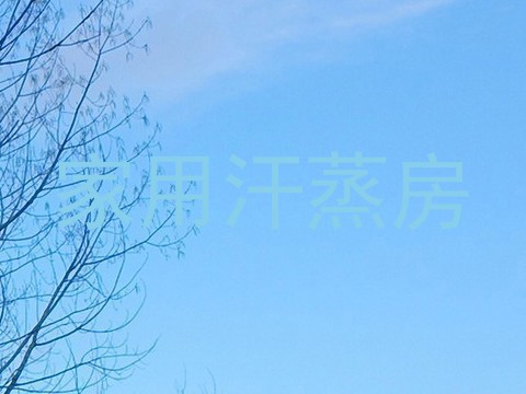 家用汗蒸房