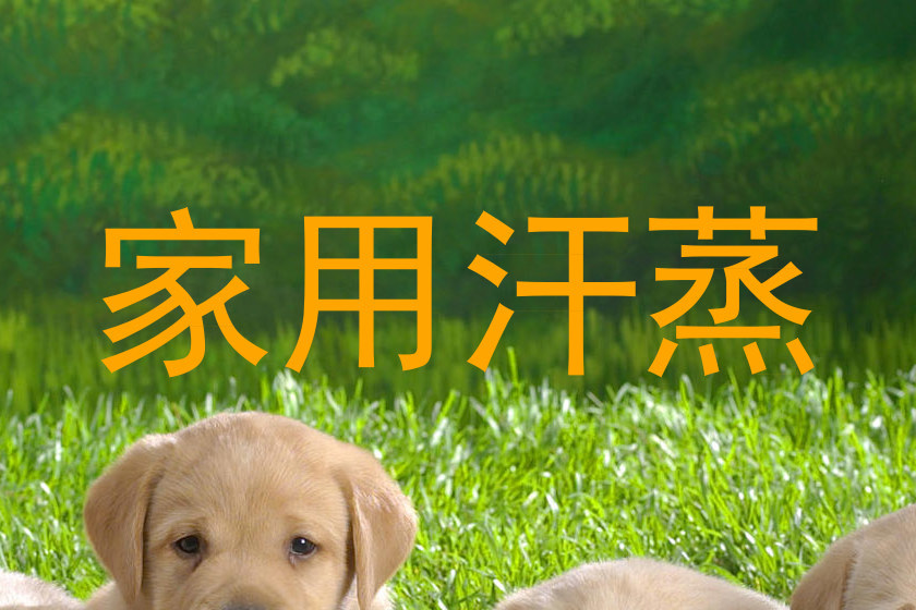 家用汗蒸