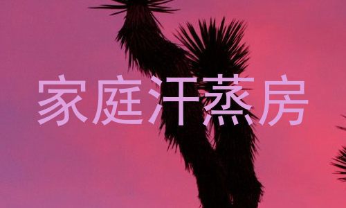 家庭汗蒸房