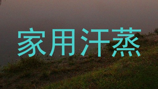 家用汗蒸