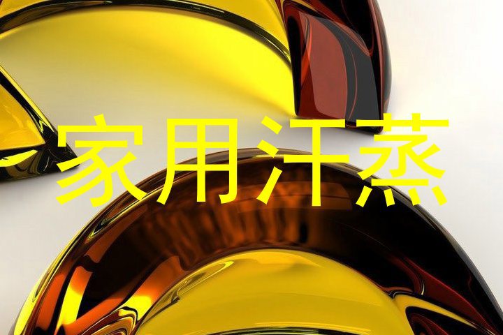家用汗蒸
