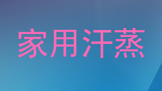 家用汗蒸