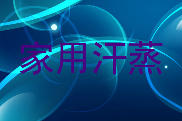 家用汗蒸