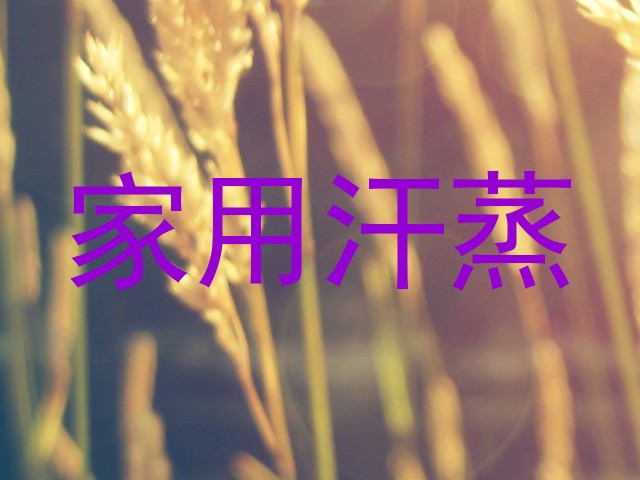 家用汗蒸
