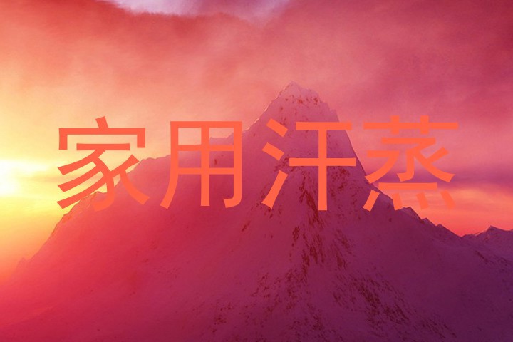 家用汗蒸