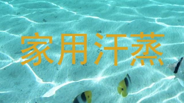 家用汗蒸