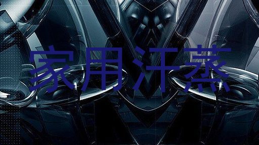 家用汗蒸