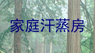 家庭汗蒸房