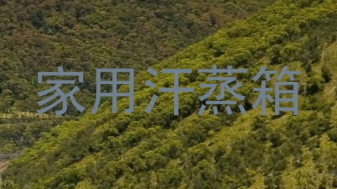 家用汗蒸箱