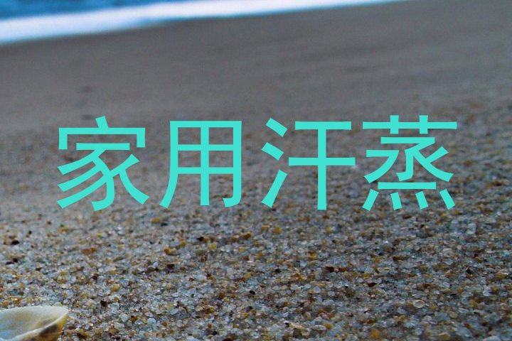 家用汗蒸