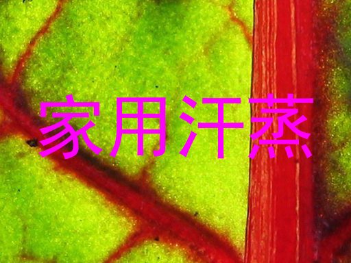 家用汗蒸