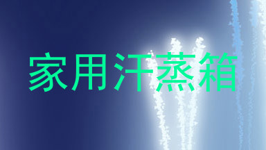家用汗蒸箱
