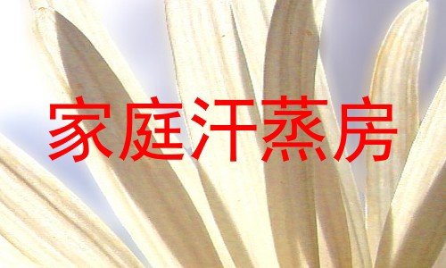 家庭汗蒸房