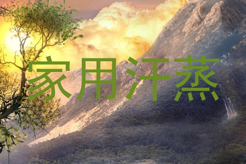 家用汗蒸