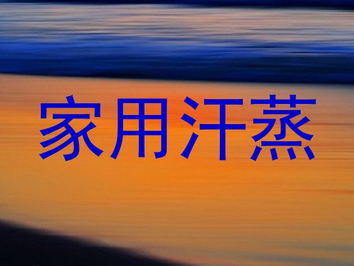 家用汗蒸