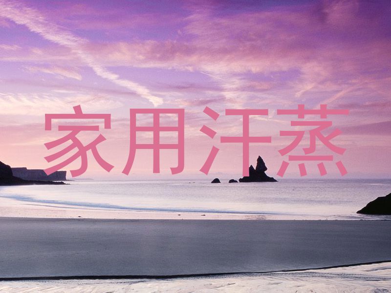 家用汗蒸