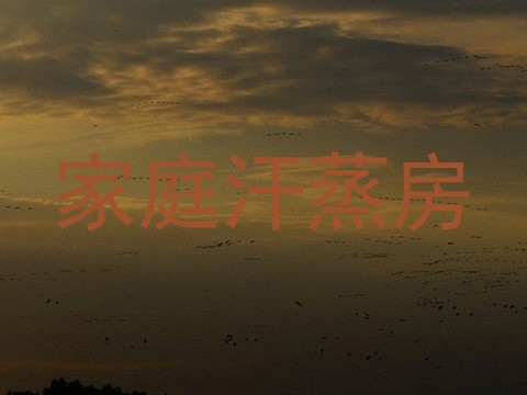 家庭汗蒸房