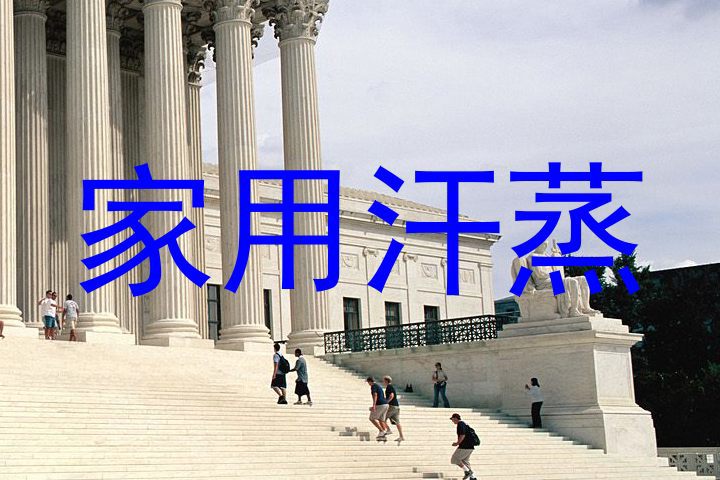 家用汗蒸