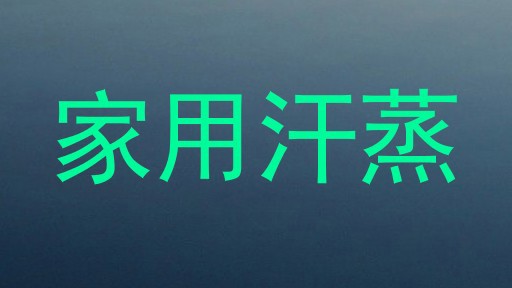 家用汗蒸
