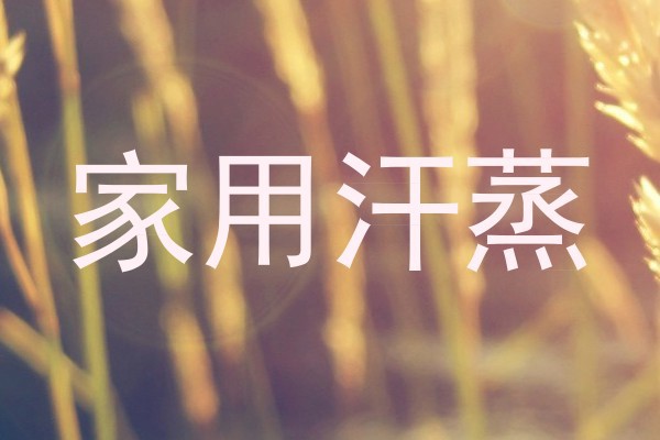 家用汗蒸