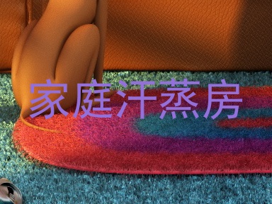 家庭汗蒸房