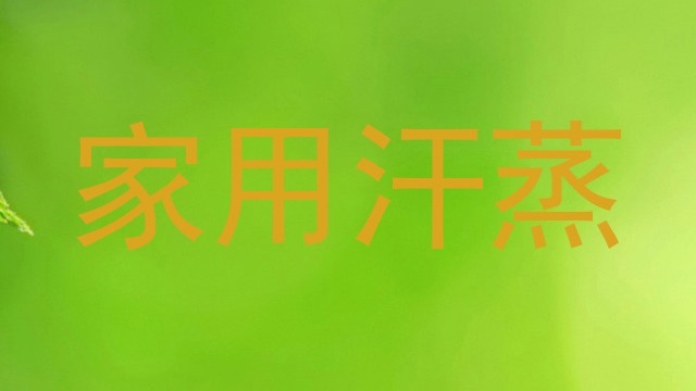 家用汗蒸