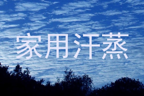 家用汗蒸
