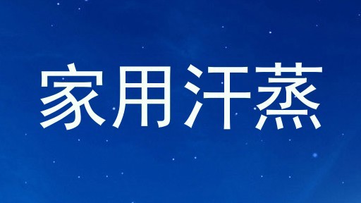 家用汗蒸