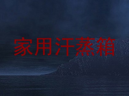 家用汗蒸箱