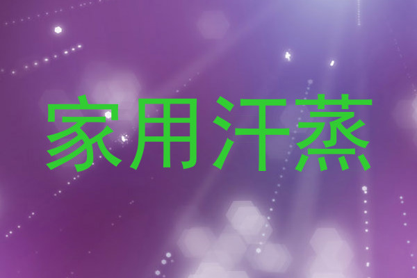 家用汗蒸