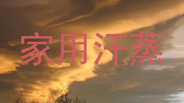 家用汗蒸