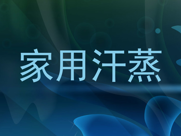家用汗蒸