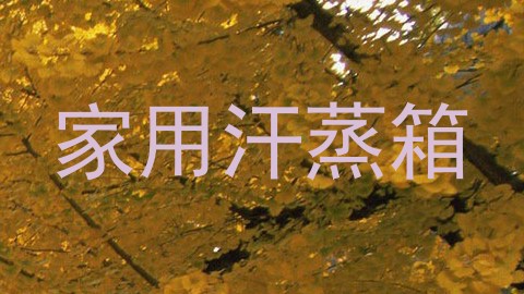 家用汗蒸箱