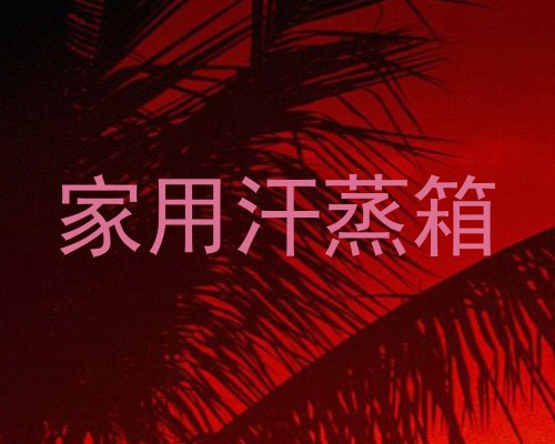家用汗蒸箱