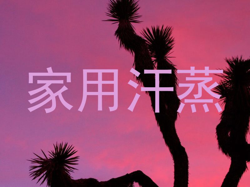 家用汗蒸