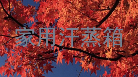 家用汗蒸箱