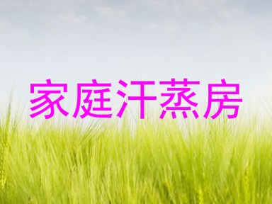 家庭汗蒸房
