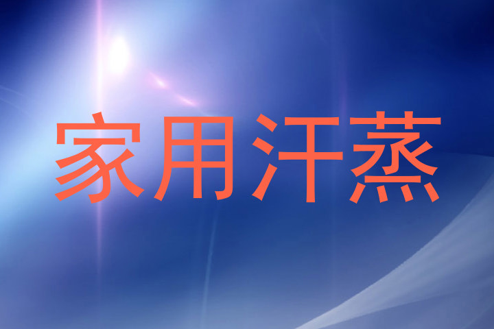 家用汗蒸