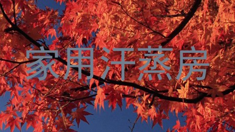 家用汗蒸房