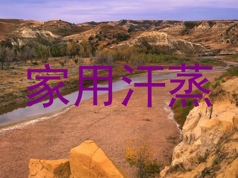 家用汗蒸