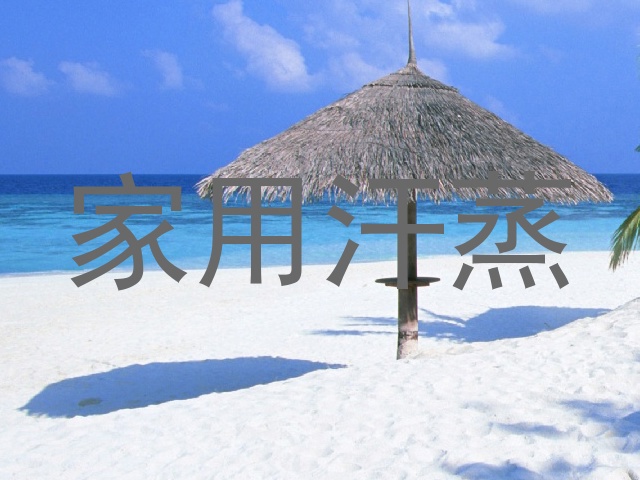 家用汗蒸