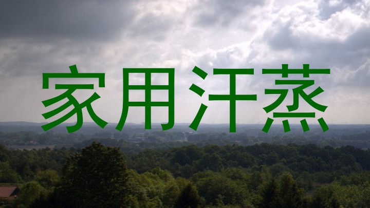 家用汗蒸
