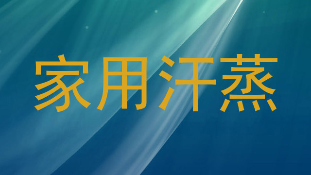 家用汗蒸