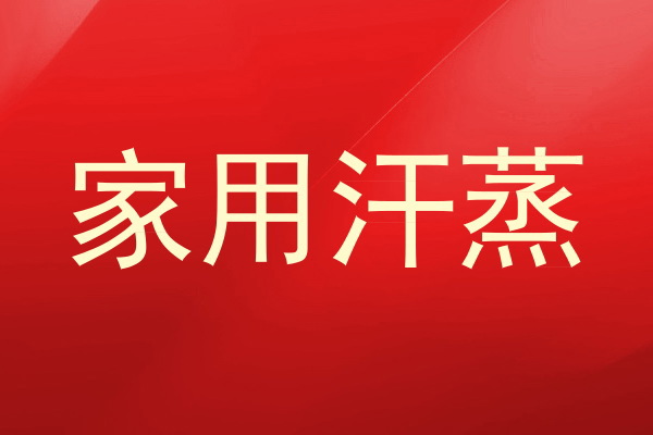 家用汗蒸