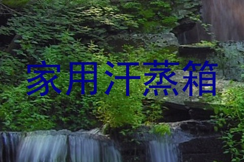家用汗蒸箱