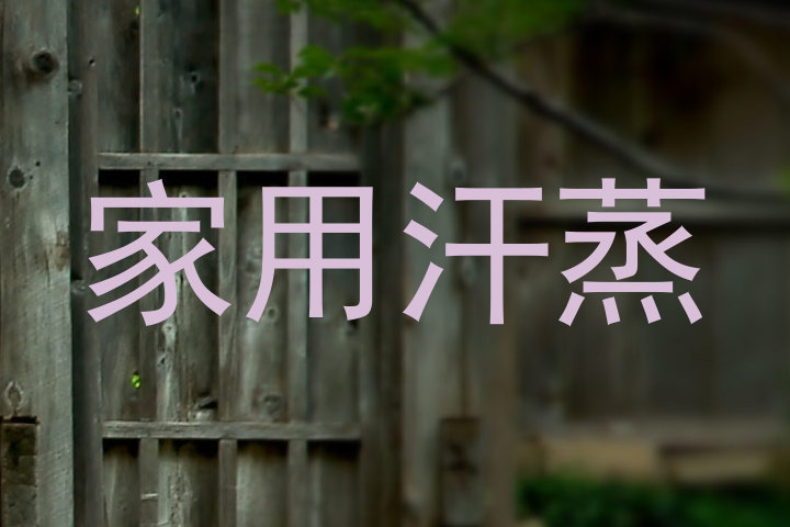 家用汗蒸