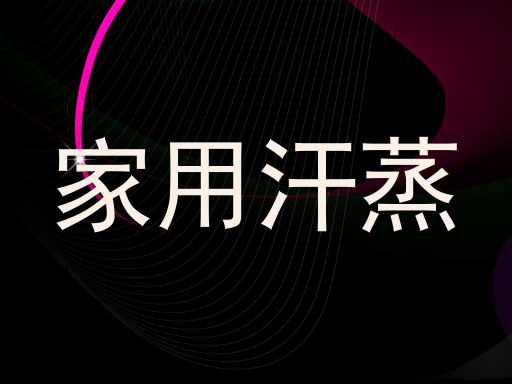 家用汗蒸